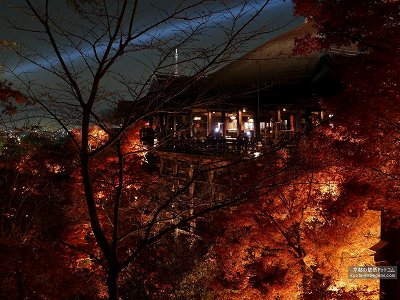 ������47�y�_�E�����[�h����ꍇ�͉E�̉摜�T�C�Y���N���b�N���Ă��������z