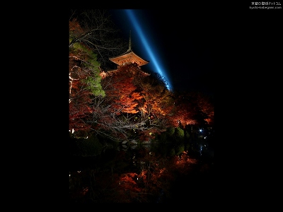 ������51�y�_�E�����[�h����ꍇ�͉E�̉摜�T�C�Y���N���b�N���Ă��������z