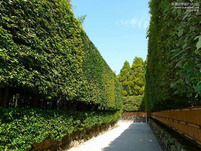 ��t��15�y�_�E�����[�h����ꍇ�͉E�̉摜�T�C�Y���N���b�N���Ă��������z