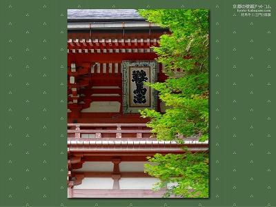 �Ɣn��02�y�_�E�����[�h����ꍇ�͉E�̉摜�T�C�Y���N���b�N���Ă��������z