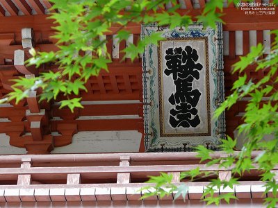 �Ɣn��03�y�_�E�����[�h����ꍇ�͉E�̉摜�T�C�Y���N���b�N���Ă��������z