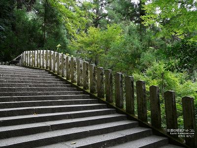 �Ɣn��05�y�_�E�����[�h����ꍇ�͉E�̉摜�T�C�Y���N���b�N���Ă��������z