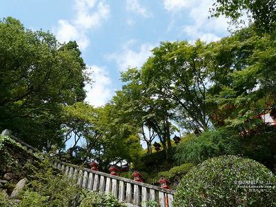 �Ɣn��06�y�_�E�����[�h����ꍇ�͉E�̉摜�T�C�Y���N���b�N���Ă��������z