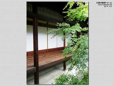 ���m��01�y�_�E�����[�h����ꍇ�͉E�̉摜�T�C�Y���N���b�N���Ă��������z