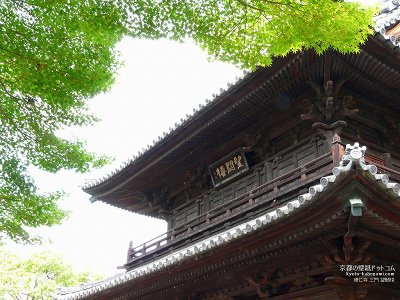 ���m��10�y�_�E�����[�h����ꍇ�͉E�̉摜�T�C�Y���N���b�N���Ă��������z