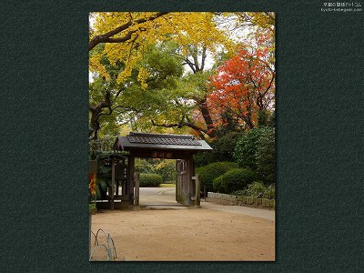 �c��01�y�_�E�����[�h����ꍇ�͉E�̉摜�T�C�Y���N���b�N���Ă��������z