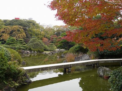 �c��02�y�_�E�����[�h����ꍇ�͉E�̉摜�T�C�Y���N���b�N���Ă��������z