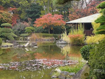 �c��03�y�_�E�����[�h����ꍇ�͉E�̉摜�T�C�Y���N���b�N���Ă��������z