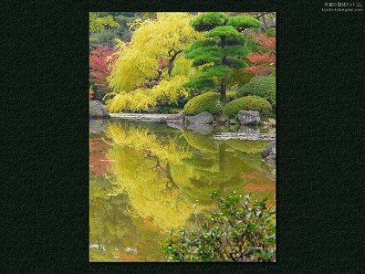 �c��05�y�_�E�����[�h����ꍇ�͉E�̉摜�T�C�Y���N���b�N���Ă��������z