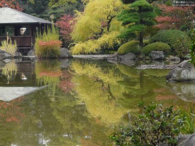 �c��06�y�_�E�����[�h����ꍇ�͉E�̉摜�T�C�Y���N���b�N���Ă��������z