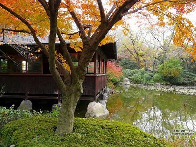 �c��10�y�_�E�����[�h����ꍇ�͉E�̉摜�T�C�Y���N���b�N���Ă��������z