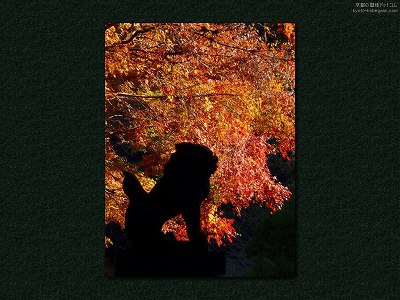 ������03�y�_�E�����[�h����ꍇ�͉E�̉摜�T�C�Y���N���b�N���Ă��������z