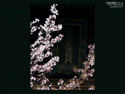 ����������01�y�_�E�����[�h����ꍇ�͉E�̉摜�T�C�Y���N���b�N���Ă��������z