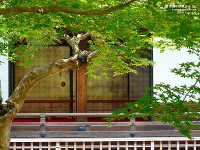 ���䎛06�y�_�E�����[�h����ꍇ�͉E�̉摜�T�C�Y���N���b�N���Ă��������z