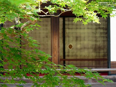 ���䎛07�y�_�E�����[�h����ꍇ�͉E�̉摜�T�C�Y���N���b�N���Ă��������z