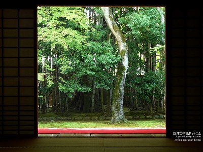 ���ˉ@02�y�_�E�����[�h����ꍇ�͉E�̉摜�T�C�Y���N���b�N���Ă��������z