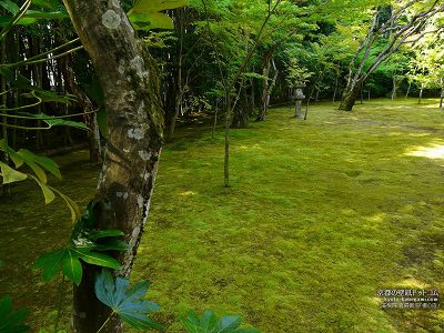 ���ˉ@08�y�_�E�����[�h����ꍇ�͉E�̉摜�T�C�Y���N���b�N���Ă��������z