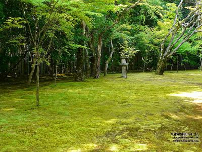 ���ˉ@09�y�_�E�����[�h����ꍇ�͉E�̉摜�T�C�Y���N���b�N���Ă��������z