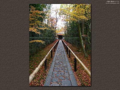 ���ˉ@12�y�_�E�����[�h����ꍇ�͉E�̉摜�T�C�Y���N���b�N���Ă��������z