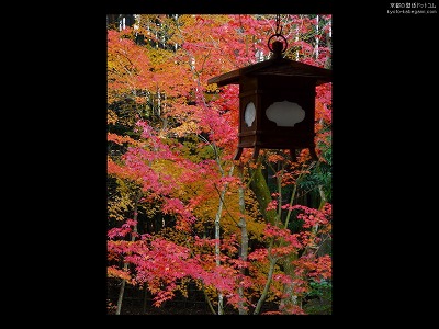 ���ˉ@17�y�_�E�����[�h����ꍇ�͉E�̉摜�T�C�Y���N���b�N���Ă��������z