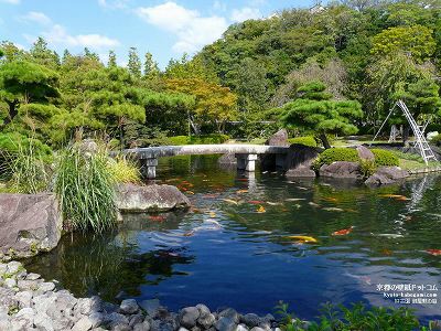 �D�É�01�y�_�E�����[�h����ꍇ�͉E�̉摜�T�C�Y���N���b�N���Ă��������z