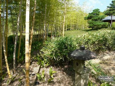 �D�É�09�y�_�E�����[�h����ꍇ�͉E�̉摜�T�C�Y���N���b�N���Ă��������z