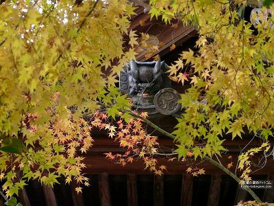 ���n�@01�y�_�E�����[�h����ꍇ�͉E�̉摜�T�C�Y���N���b�N���Ă��������z