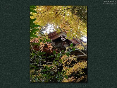 ���n�@02�y�_�E�����[�h����ꍇ�͉E�̉摜�T�C�Y���N���b�N���Ă��������z