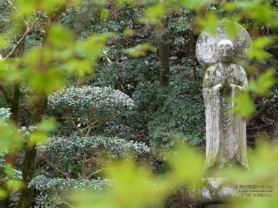 �O��@02�y�_�E�����[�h����ꍇ�͉E�̉摜�T�C�Y���N���b�N���Ă��������z