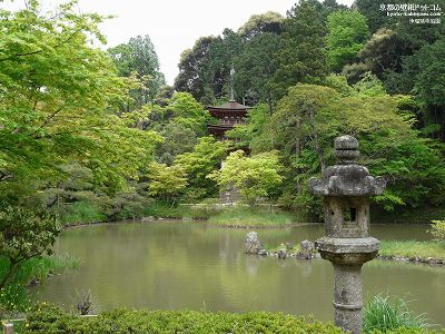 ��ڗ���01�y�_�E�����[�h����ꍇ�͉E�̉摜�T�C�Y���N���b�N���Ă��������z