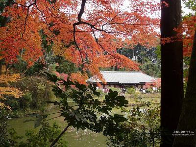 ��ڗ���08�y�_�E�����[�h����ꍇ�͉E�̉摜�T�C�Y���N���b�N���Ă��������z