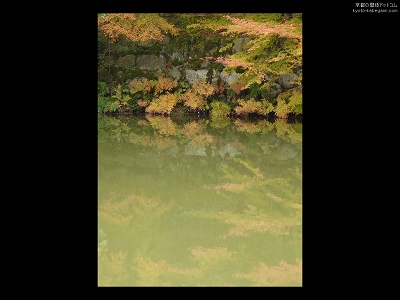 ��ڗ���10�y�_�E�����[�h����ꍇ�͉E�̉摜�T�C�Y���N���b�N���Ă��������z