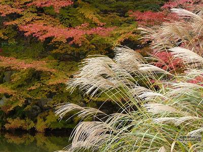 ��ڗ���11�y�_�E�����[�h����ꍇ�͉E�̉摜�T�C�Y���N���b�N���Ă��������z