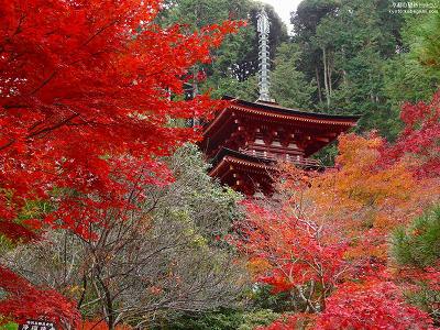 ��ڗ���16�y�_�E�����[�h����ꍇ�͉E�̉摜�T�C�Y���N���b�N���Ă��������z