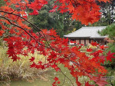 ��ڗ���17�y�_�E�����[�h����ꍇ�͉E�̉摜�T�C�Y���N���b�N���Ă��������z