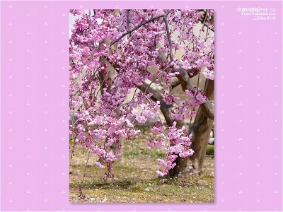 ��i�@�䎛01�y�_�E�����[�h����ꍇ�͉E�̉摜�T�C�Y���N���b�N���Ă��������z