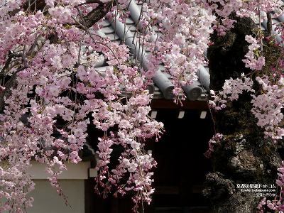 ��i�@�䎛02�y�_�E�����[�h����ꍇ�͉E�̉摜�T�C�Y���N���b�N���Ă��������z