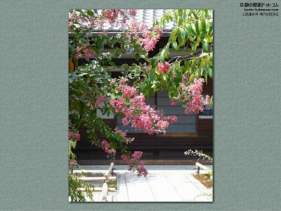 ��i�@�䎛09�y�_�E�����[�h����ꍇ�͉E�̉摜�T�C�Y���N���b�N���Ă��������z