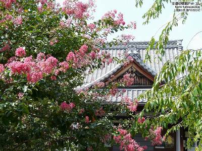 ��i�@�䎛10�y�_�E�����[�h����ꍇ�͉E�̉摜�T�C�Y���N���b�N���Ă��������z