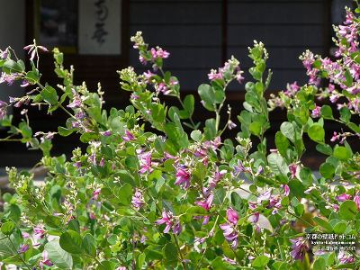 ��i�@�䎛11�y�_�E�����[�h����ꍇ�͉E�̉摜�T�C�Y���N���b�N���Ă��������z