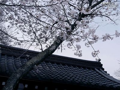 ��Ǝ�01�y�_�E�����[�h����ꍇ�͉E�̉摜�T�C�Y���N���b�N���Ă��������z