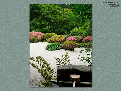 ���哰02�y�_�E�����[�h����ꍇ�͉E�̉摜�T�C�Y���N���b�N���Ă��������z