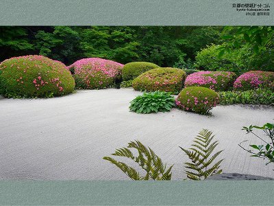 ���哰03�y�_�E�����[�h����ꍇ�͉E�̉摜�T�C�Y���N���b�N���Ă��������z