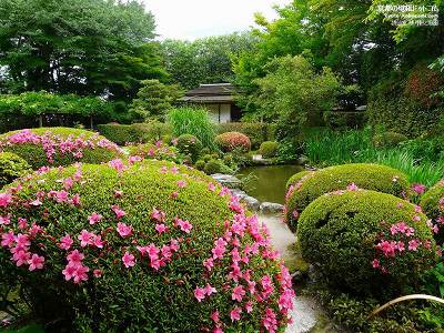 ���哰12�y�_�E�����[�h����ꍇ�͉E�̉摜�T�C�Y���N���b�N���Ă��������z