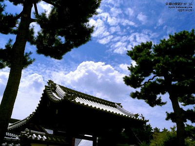 ������02�y�_�E�����[�h����ꍇ�͉E�̉摜�T�C�Y���N���b�N���Ă��������z