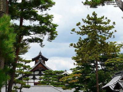 ������07�y�_�E�����[�h����ꍇ�͉E�̉摜�T�C�Y���N���b�N���Ă��������z