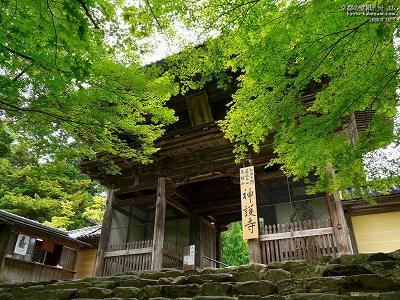 �_�쎛02�y�_�E�����[�h����ꍇ�͉E�̉摜�T�C�Y���N���b�N���Ă��������z