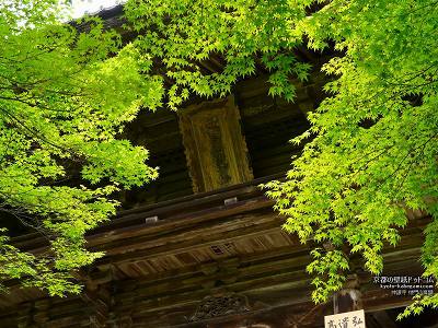 �_�쎛03�y�_�E�����[�h����ꍇ�͉E�̉摜�T�C�Y���N���b�N���Ă��������z