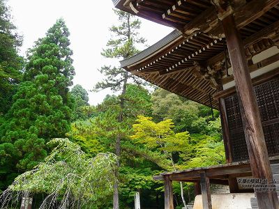 �_�쎛05�y�_�E�����[�h����ꍇ�͉E�̉摜�T�C�Y���N���b�N���Ă��������z