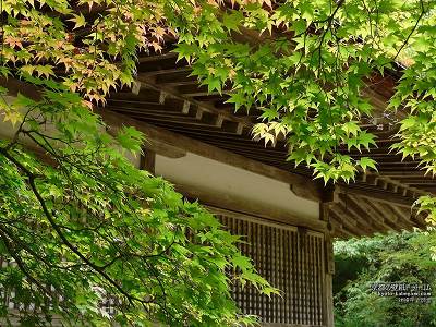 �_�쎛06�y�_�E�����[�h����ꍇ�͉E�̉摜�T�C�Y���N���b�N���Ă��������z